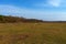 Edge of a leafless forest in March. Bare spring trees. Landscape