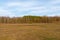 Edge of a leafless forest in March. Bare spring trees. Landscape