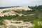 The edge of the Oregon sand dunes