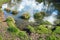 The edge of a pond with shallow water in nature reserve area