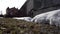 Edge of a snow drift in a bog. Wild grass on mountain in snow close up. Footage