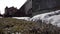 Edge of a snow drift in a bog. Wild grass on mountain in snow close up. Footage