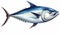 Edgy Caricature Of A Blue Tuna Fish On A White Background