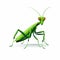 Edgy Caricature Style Green Praying Mantis Icon On White Background