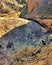 Ediacara Biota Fossil Hunting, Flinders Ranges