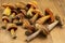 Edible and appetizing wild boletus mushrooms and Suillellus luridus on the table