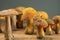 Edible and appetizing wild boletus mushrooms and Suillellus luridus on the table