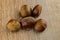 Edible brown chestnut closeup lies on a wooden base set autumn snack