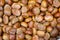 Edible chestnuts background