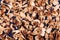 Edible dried mushrooms background close up top view, dry boletus edulis dark texture, chopped brown cap boletus wallpaper, sliced