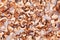 Edible dried mushrooms wooden background close up top view, dry boletus edulis texture, chopped brown cap boletus wallpaper