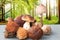 Edible forest mushrooms in autumn. Selective focus on different types of mushrooms such as porcini, chestnuts and parasols on a