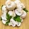 Edible fresh culture mushrooms and parsley