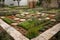 edible landscape in which the plants and herbs are arranged according to their medicinal properties