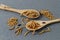 Edible mealworms and flour in a wooden spoons on grey granite table.