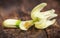 Edible moringa flower