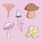 Edible Mushroom Collection on Pink Background. Common Fungi.