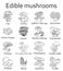 Edible mushroom set. Line icons