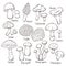 Edible mushrooms collection in line art style. Hand drawn food drawing. Forest plants sketches. Perfect for recipe, menu