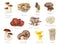 Edible mushrooms hand painted set. Watercolor illustration. Porcini, chanterelle, oyster mushroom, enoki, shiitake