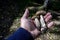 Edible mushrooms with the Latin name Leccinum scabrum on the hand of a person