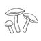 Edible mushrooms oiler outline icon