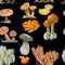 Edible mushrooms. Seamless pattern