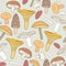 Edible mushrooms seamless pattern. Hand drawn fungi. Birch bolete, blewits, brown, champignon, shiitake, chanterelle