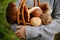 Edible mushrooms in a wicker basket in the forest