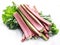 Edible rhubarb stalks on the white background