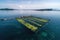 edible seaweed farms in the ocean, providing sustainable harvest of healthy food