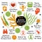 Edible seaweed: laminaria, macrocystis, chlorella and fucus. Health benefits, beneficial properties. Funny hand drawn infographic