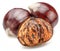 Edible sweet chestnuts with roasted chestnuts isolated on white background