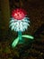 Edinburgh Zoo, Edinburgh, Scotland, UK, 5th January 2019, Giant Lanterns of China Display of a Pineapple Plant.