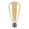 Edison bulb. Decorative vintage light. Realistic