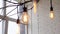 Edison hanging lamps, illuminated. Media. Vintage light bulbs hanging on interior branches of window on background of