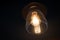 Edison Lightbulb Dark