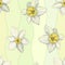 Editable gentle green vector endless texture with beautiful narcissus for fabric and decoration.