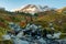 Edith Creek with Mt. Rainier in Fall