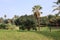 Edith Wolfson Park located in Tel Aviv Israel displays a fresh green landscape between the urban buildings b