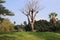 Edith Wolfson Park located in Tel Aviv Israel displays a fresh green landscape between the urban buildings c