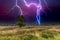 Editing of the natural landscape BalloÃ«rveld  with very heavy thunderstorms and violent lightning