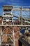 Editorial, construction workers above Hoover Dam