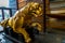 Editorial, Istanbul, Turkey, golden lion figurehead in the Maritime Museum