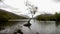 Editorial, Video, The Llanberis Lone tree in lake Padarn with slate rocks in foreground Kayakers in background