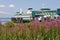 Edmonds Ferry