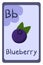 Education flash card abc, letter B - blueberry.