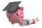 Education Fund with Piggy Bank, 3D rendering