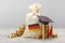 Education in Germany. Money bag and germany flag and graduate cap