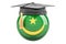 Education and study in Mauritania concept, 3D rendering